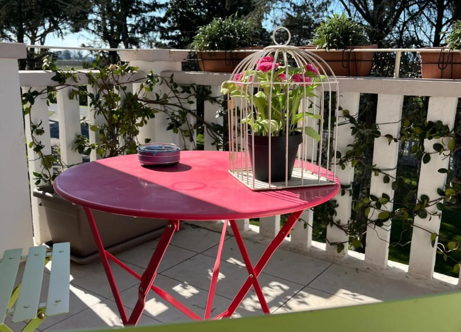 Farm stay Agriturismo Villa Dei Gelsi Cotignola Italy